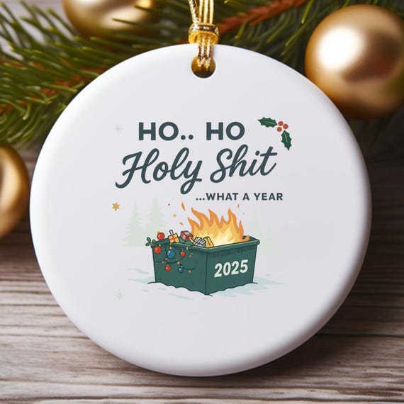Funny 2025 Christmas Ornaments: Sarcastic Holiday Decoration O729