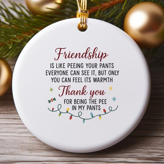Friendship Is Like Peeing Your Pants Ornament Funny Christmas Gift For Best Friends, Friendship Ornament O746