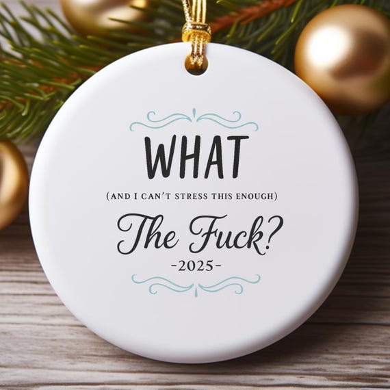 Funny Christmas 2025 Ornament, Sarcastic Keepsake, What And I Can't Stress This Enough, The F Ornament O747