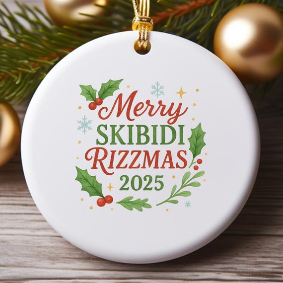 Merry Skibidi Rizzmas Ornament, Funny 2025 Skibidi Ornament, Ohio Toilet Rizz 2026 Ornament O794