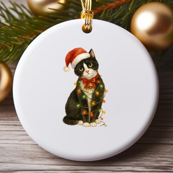 Funny Christmas Cat Ornament: Holiday Family Decoration With Santa Hat And Lights O804