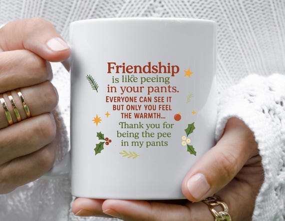 Friendship Is Like Peeing Your Pants Funny Mug, Humorous Friendship Christmas Mug, Peeing Pants Mug Gift M824