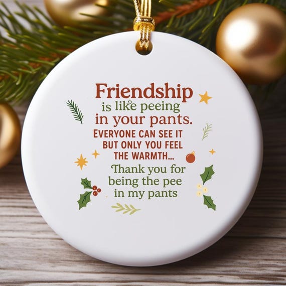 Friendship Is Like Peeing Your Pants Funny Christmas Ornament, Humorous Friendship Ornament O824