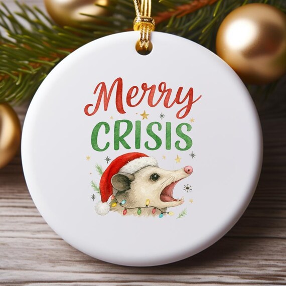 Merry Crisis Opossum Funny Christmas Ornament With Santa Hat And Lights O832