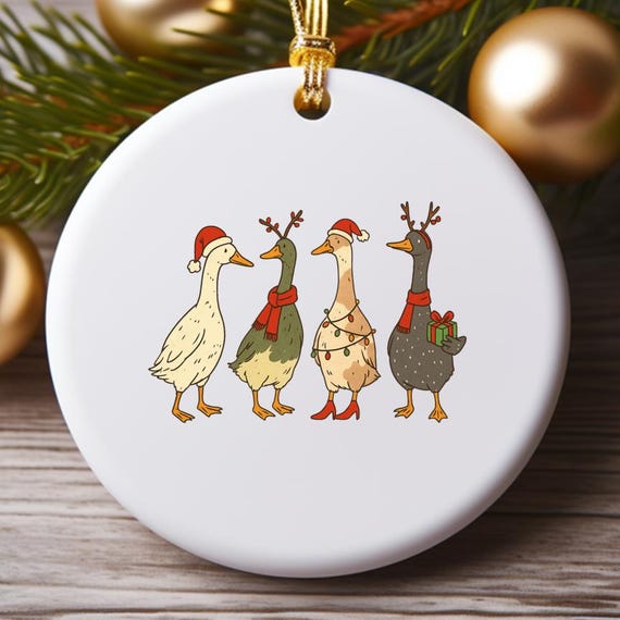 Christmas Ducks Ornament, Funny Farm Animals Christmas, Duck Ornament with Santa Hats & Lights, Farm Lover Gift O879