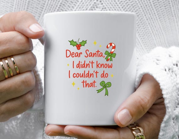 Funny Christmas Mug, Dear Santa, Didn't Know You Couldn't Do That, Offensive Xmas Gifts, Sarcastic Mug M880