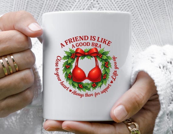 A Good Friend Is Like A Bra Funny Christmas Mug, Holiday Mug, Supportive Friend Gift M913
