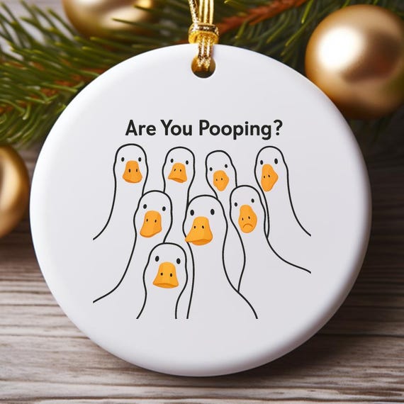Funny Goose Ornament Are You Pooping Silly Animal Humor For Guest Bathroom Decor O915