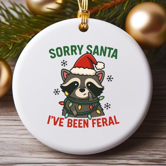 Sorry Santa I've Been Feral Ornament, Funny Christmas Raccoon With Santa Hat, Merry Xmas Holiday Decor O914
