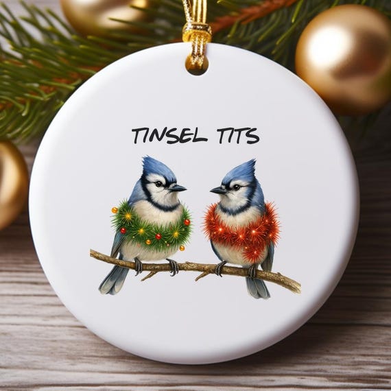 Funny Blue Jay Christmas Ornament – Sarcastic Bird Holiday Decor – Inappropriate Rude Xmas Ornaments O971
