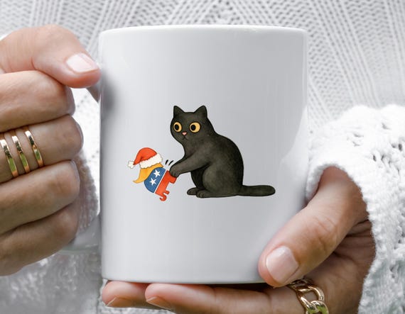 Funny Anti Trump Mug, Sarcastic FDT Grumpy Black Cat, Subtle Anti Maga Humor Gift M974