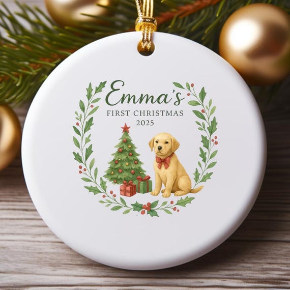 Personalized Baby's First Christmas Ornament - Custom First Christmas Rabbit Decoration O908