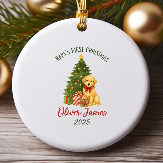 Baby's First Christmas Ornament - Personalized Rainbow Ornament - Custom Baby Girl Keepsake 2023 O916