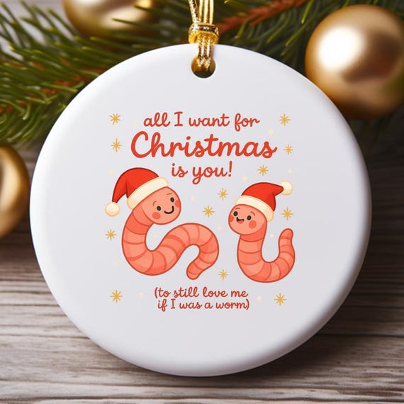 Funny Worm Christmas Ornament For Partner: All I Want Is You To Love Me If I Was A Worm O983
