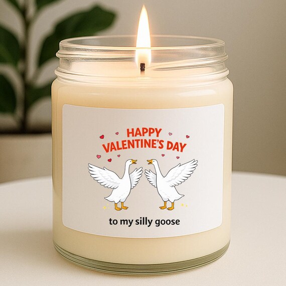 Silly Goose Valentine's Day Candles & Home Fragrances With Cartoon Geese And Pink Hearts VK43