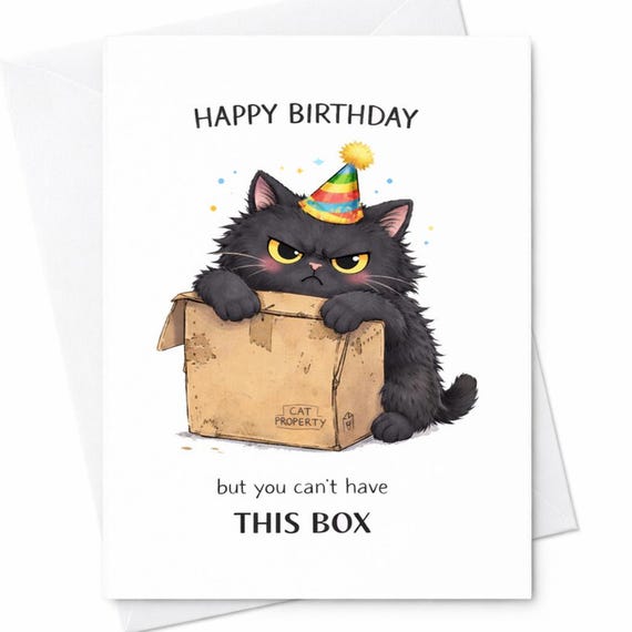 Funny Cat Birthday Card Grumpy Cat In Box Cute Humor Pet Lover Gift C63