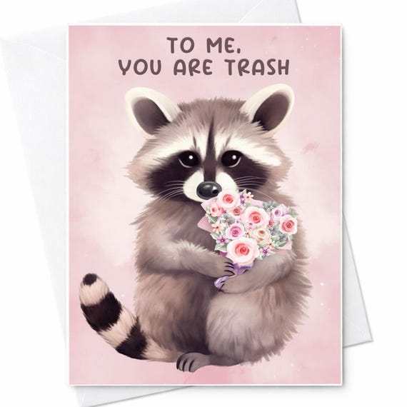 Funny Raccoon Love Card You Are Trash Card Cute Animal Valentine Card Couples Humor Anniversary Card For Boyfriend Girlfriend Wife C131