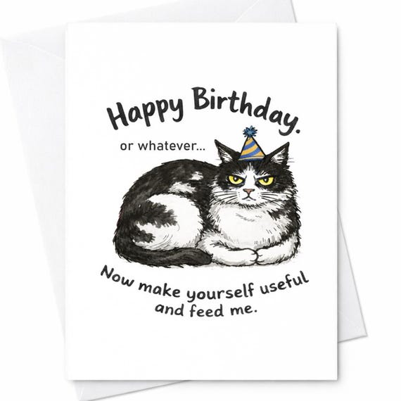 Grumpy Cat Birthday Card Funny Cat Birthday Card Sarcastic Birthday Card Cat Lover Gift Rude Humor Birthday Card For Friend C181