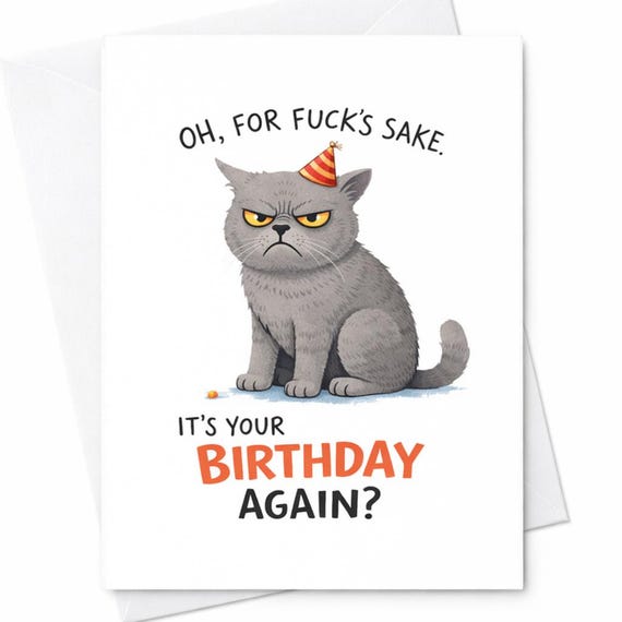 Funny Cat Birthday Card Oh For Fuck’s Sake It’s Your Birthday Again Sarcastic Birthday Card Grumpy Cat Lover Gift Adult Humor Card C345
