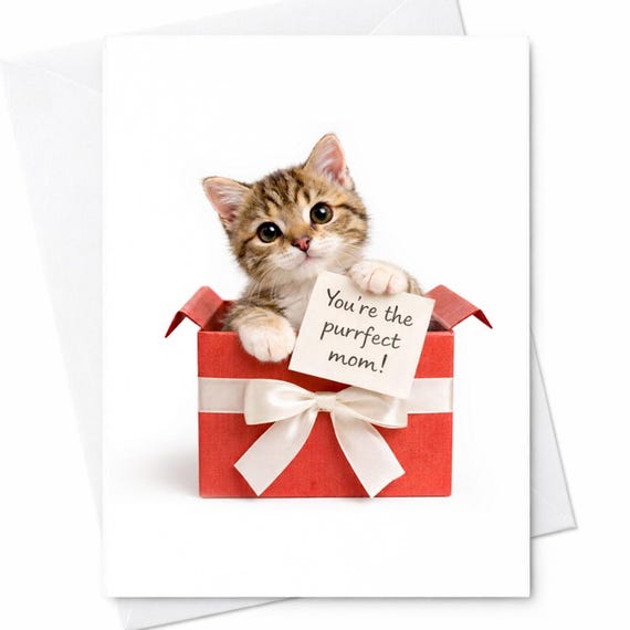Cute Cat Mother’s Day Card You’re The Purrfect Mom Card Funny Cat Mom Card Kitten Gift Box Mother’s Day Card From Cat Lover Gift C772