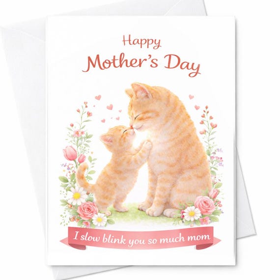Happy Mother’s Day I Slow Blink You So Much Mom Cute Cat Card Funny Cat Lover Mother’s Day Card Kitten Mom Gift C799