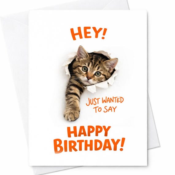 Funny Cat Birthday Card Hey Just Wanted To Say Happy Birthday Cute Kitten Card Animal Lover Birthday Card Gift For Cat Lovers C858