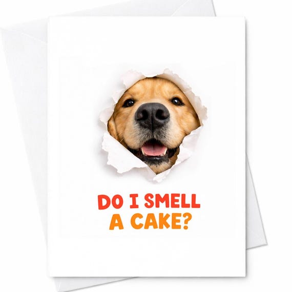Funny Dog Birthday Card Do I Smell A Cake Cute Puppy Birthday Card Animal Lover Birthday Card Dog Humor Gift Idea C1094
