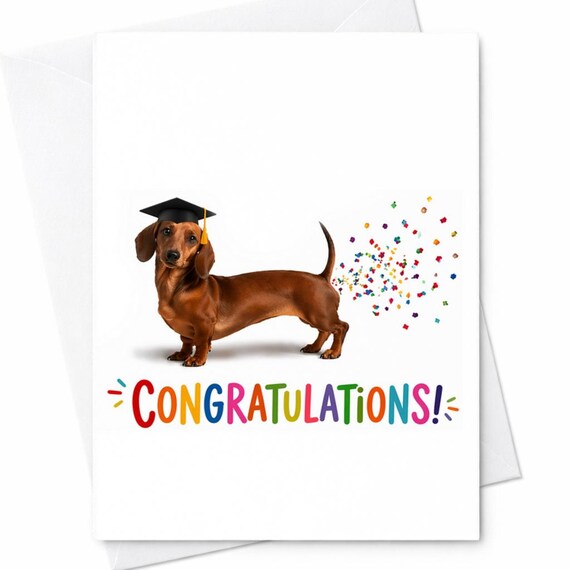 Congratulations Funny Graduation Card Dachshund Dog Grad Card Sausage Dog Congrats Card Humor Graduation College High School Grad C1182