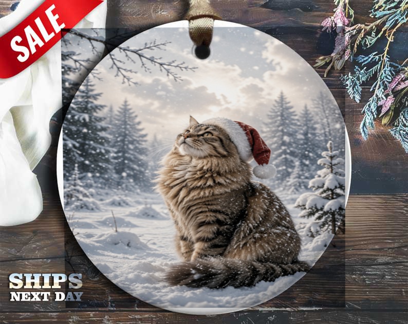 Cat In Santa Hat Christmas Ornament Cute Holiday Decor For Cat Lovers Winter Wonderland Scene Festive Tree Decoration O1