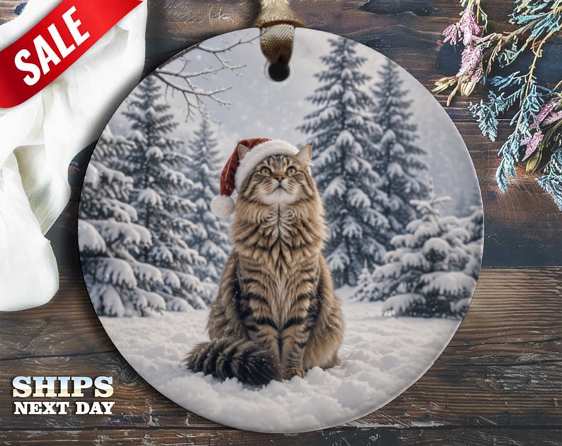 Cat In Santa Hat Christmas Ornament Cute Holiday Decor Winter Scene For Cat Lovers Festive Tree Decoration Gift O70