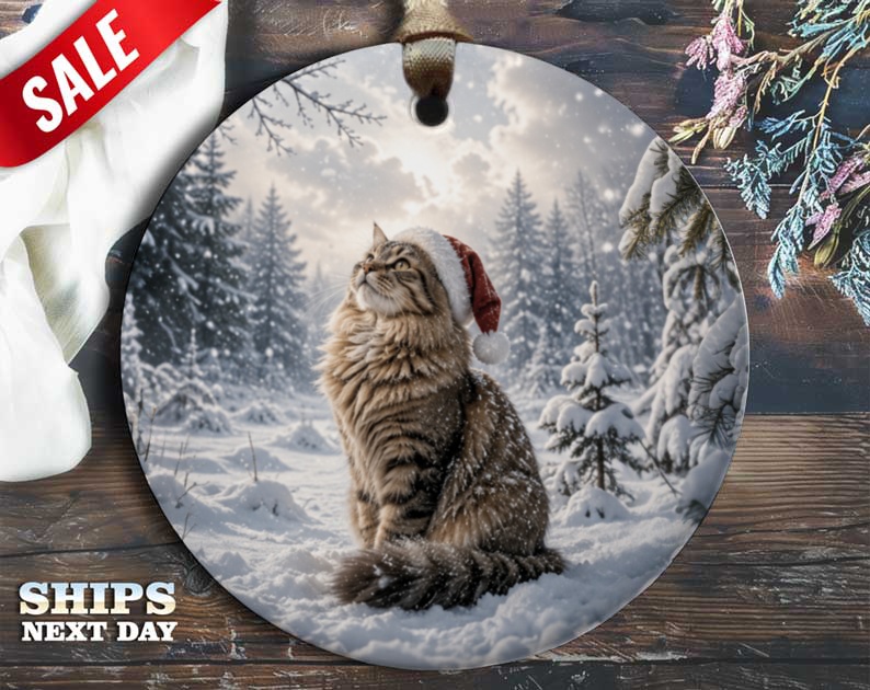 Cat In Santa Hat Christmas Ornament Cute Winter Scene Holiday Decor For Cat Lovers Festive Tree Decoration Gift O71