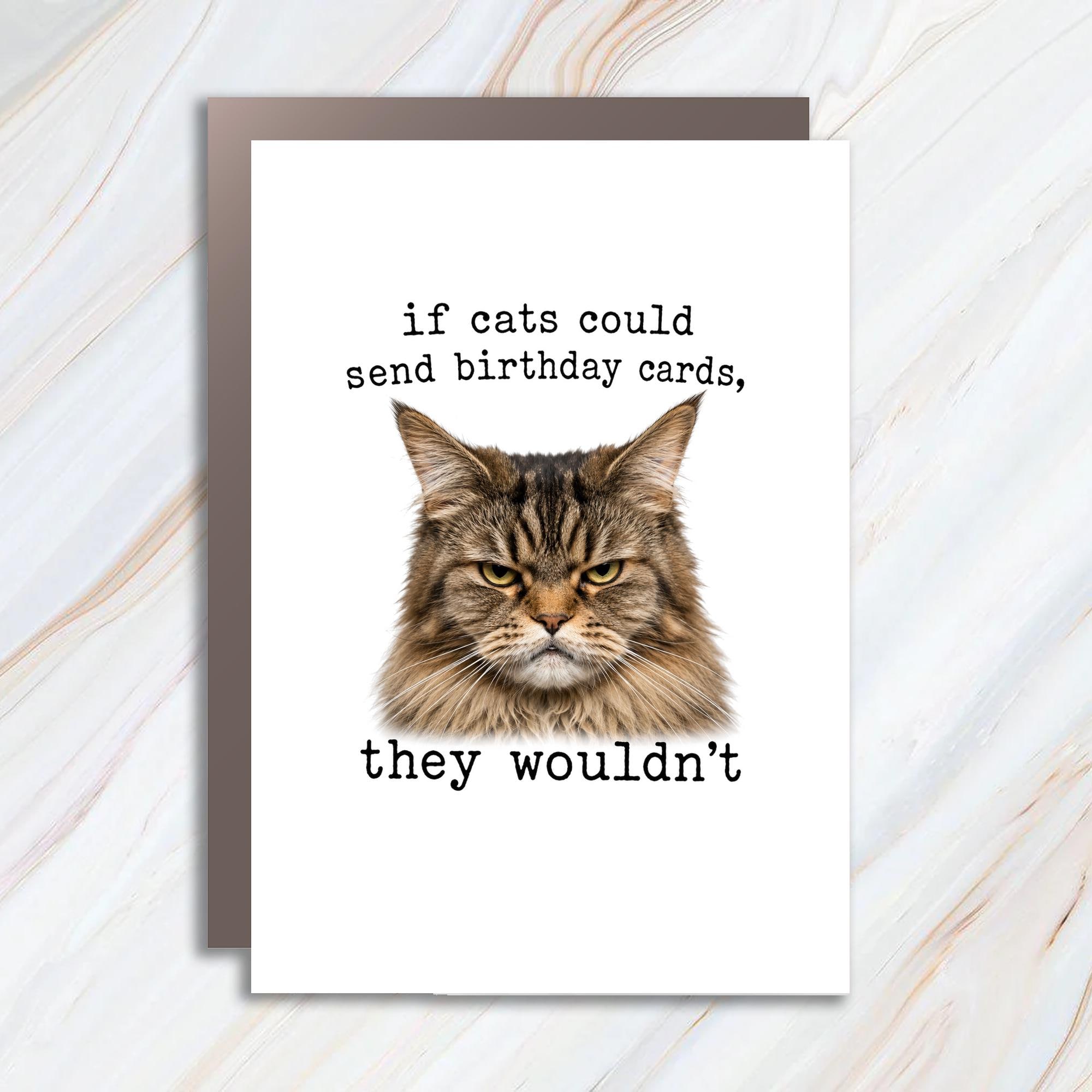 If Cats Could Send Birthday Cards, They Wouldn't Funny Cat Birthday Card Greeting Card For Cat Lovers BC169