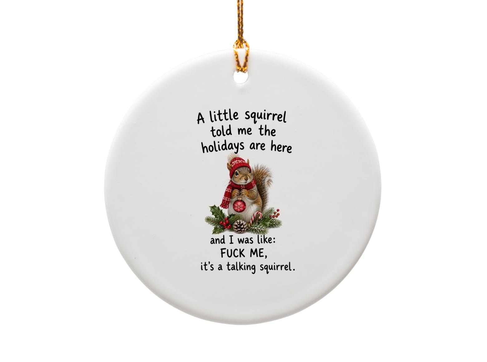 A Little Squirrel Told Me The Holidays Are Here Funny Christmas Ornament Holiday Decor Cute Squirrel Gift For Friends Family O959