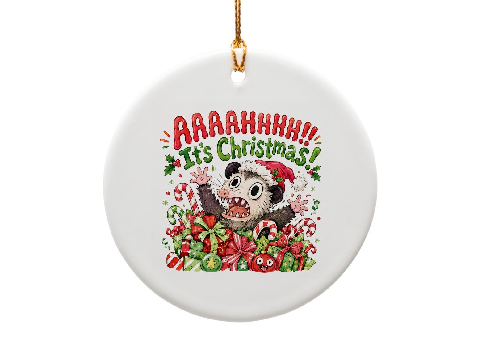 Aaahhhh!! It's Christmas! Funny Possum Ornament Holiday Decor Cute Animal Christmas Gift Candy Cane Present O1200