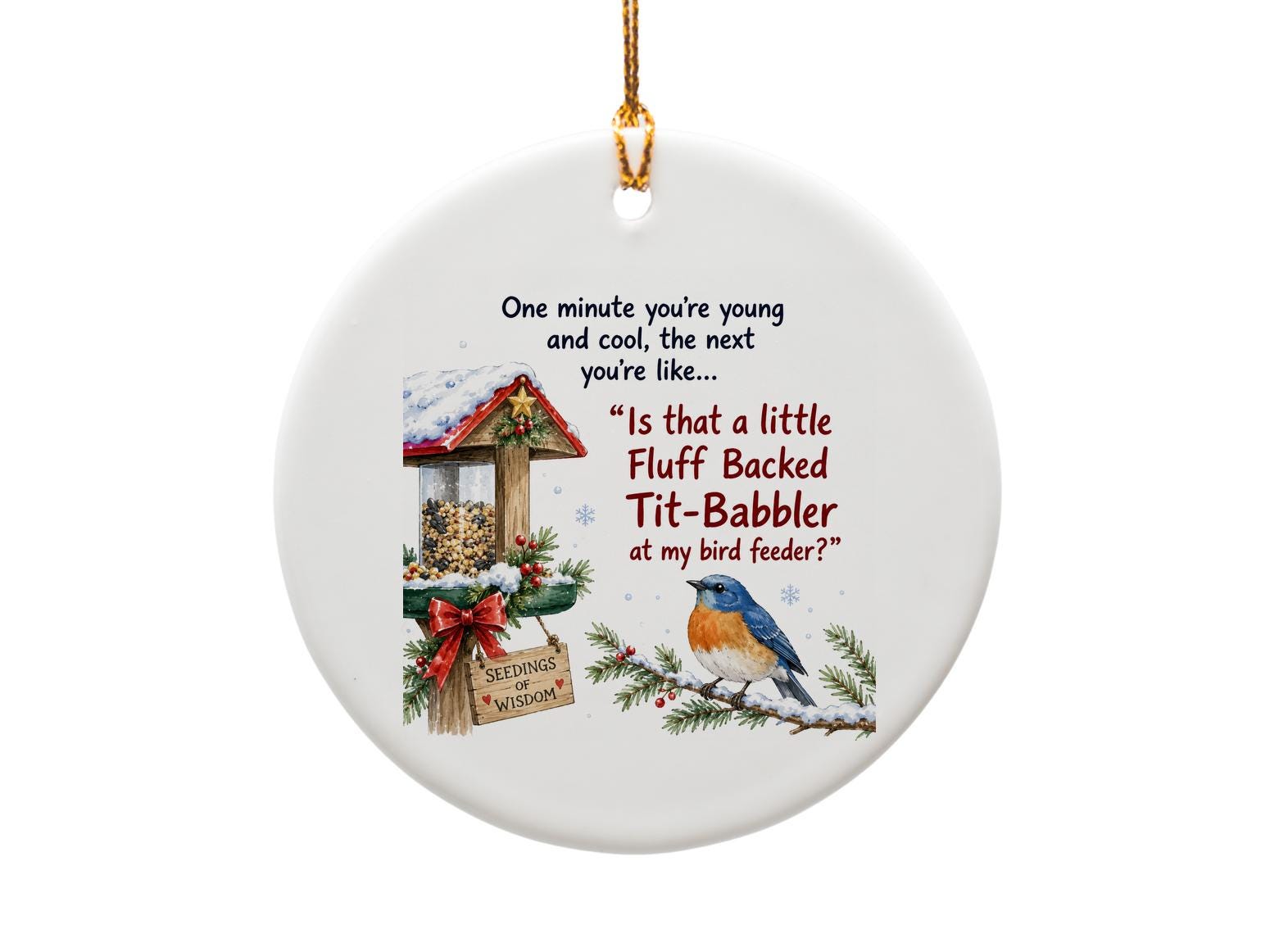 One Minute You’re Young Funny Christmas Ornament Bird Feeder Gift For Bird Lovers Cute Holiday Decor O1229