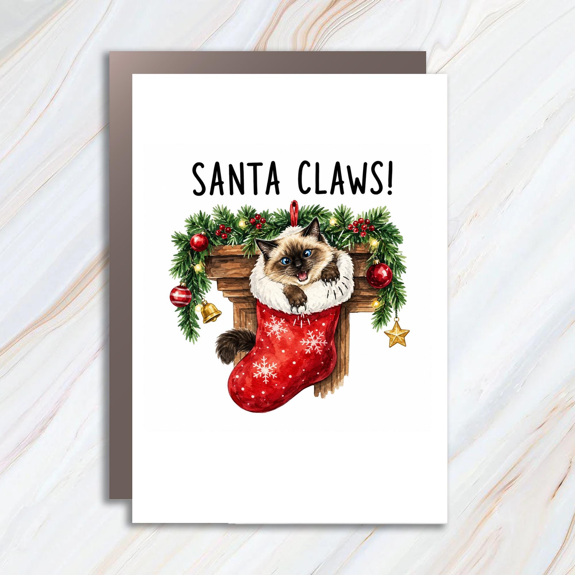 Santa Claws! Funny Christmas Card Cute Cat In Stocking Holiday Greeting Card For Cat Lover Animal Lover Xmas Card C1837