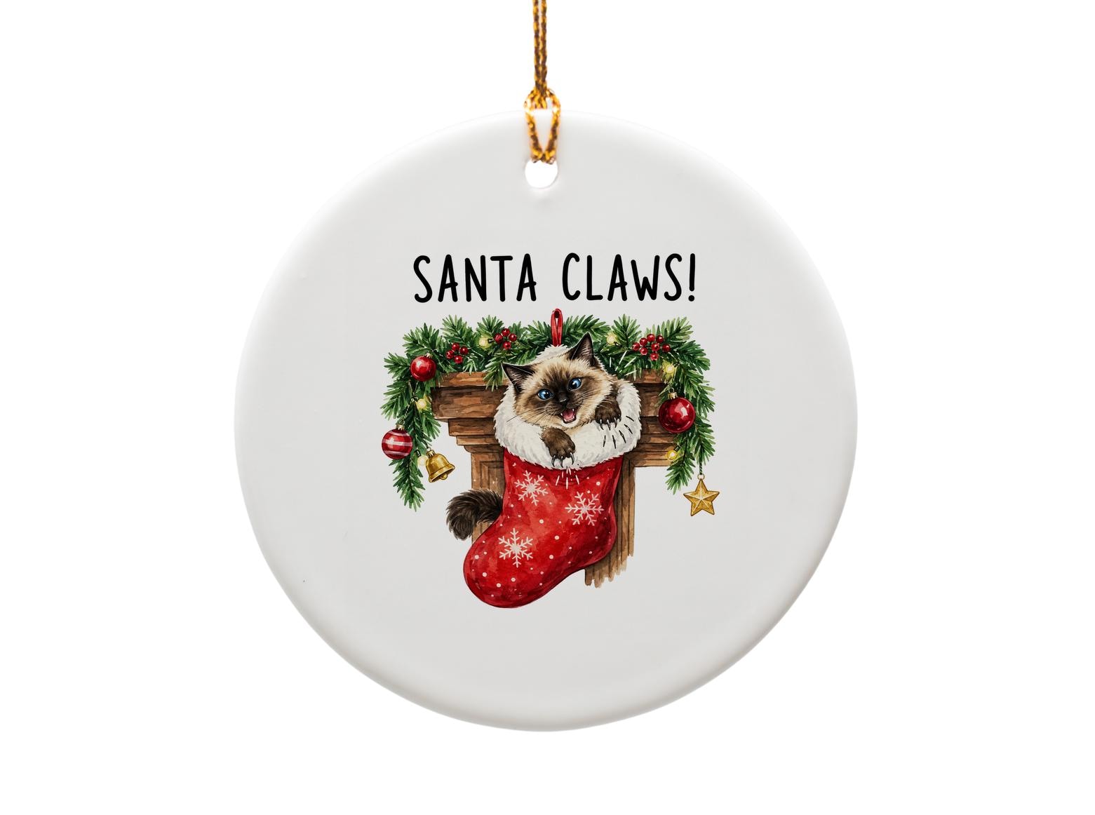 Santa Claws! Funny Cat Christmas Ornament Cute Holiday Decor Kitty Stocking Xmas Tree Decoration For Cat Lovers O1837