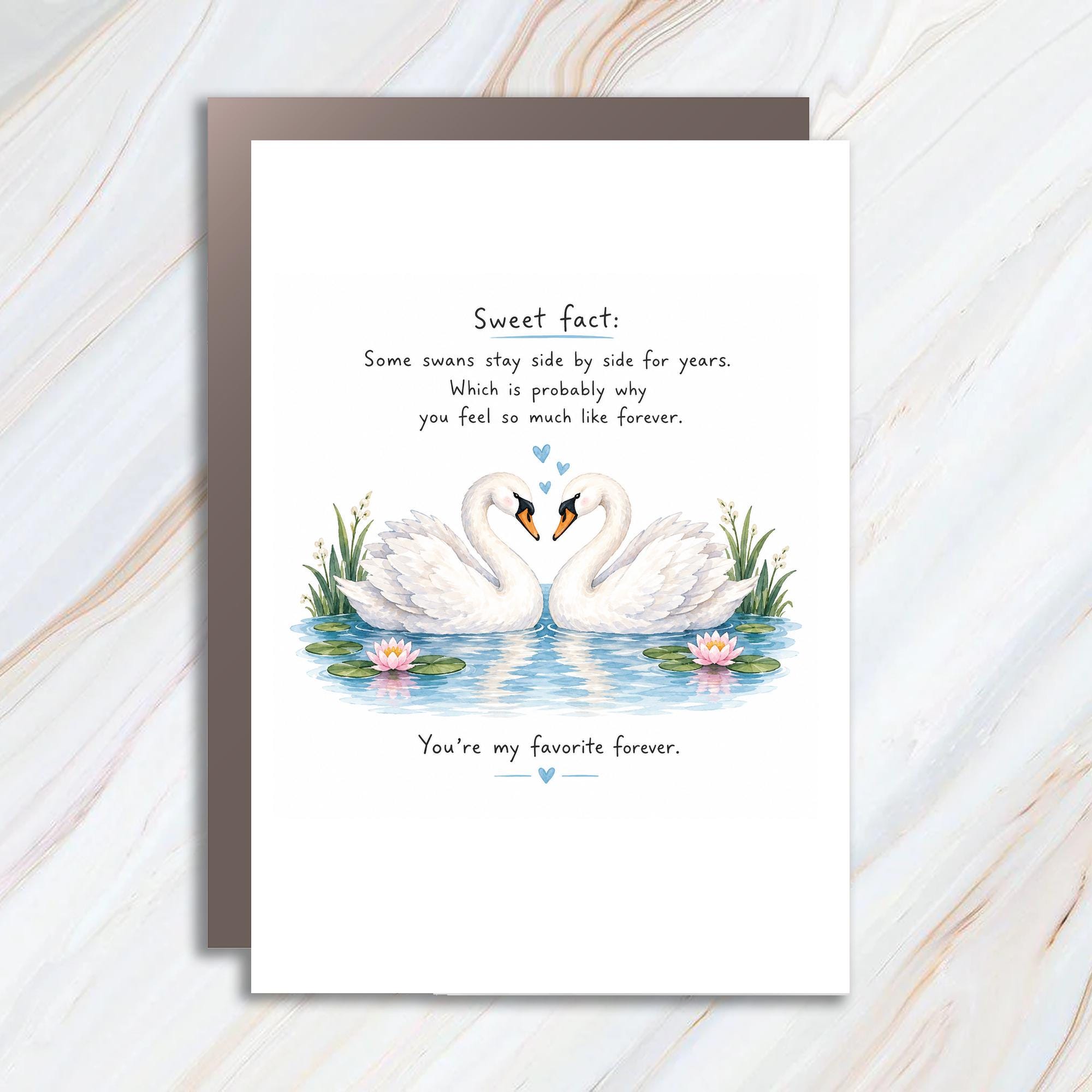 Sweet Fact Swans Stay Side By Side Anniversary Card You're My Favorite Forever Romantic Love Card For Couple Cute C1197
